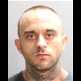 Picture of Brandon Skye Diloreto